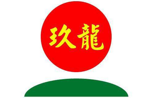 玖龙纸业