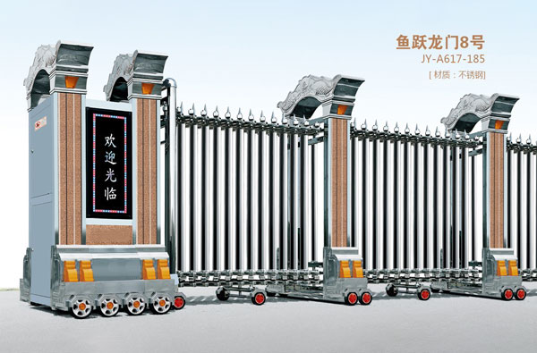 鱼跃龙门8号