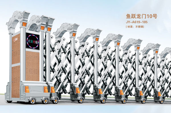 鱼跃龙门10号