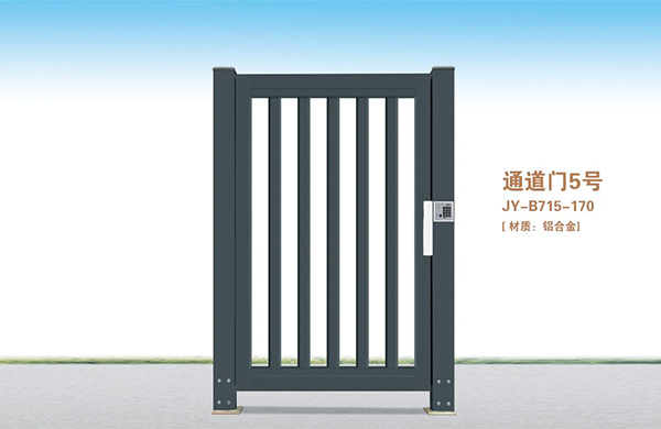 通道门5号