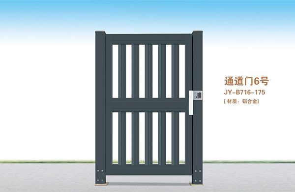 通道门6号