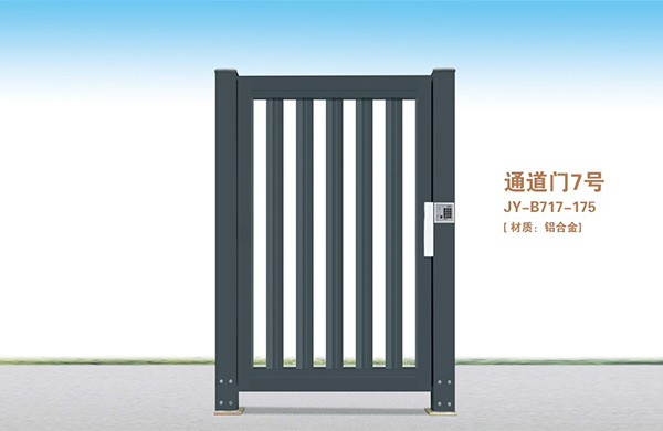 通道门7号